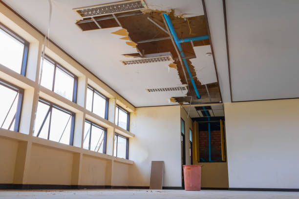 Best Water damage restoration near me  in Rankin, TX