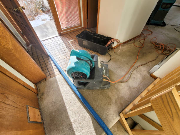 Best Carpet water damage restoration  in Rankin, TX