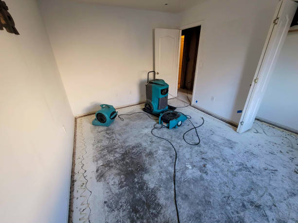 Best Water damage cleanup near me  in Rankin, TX