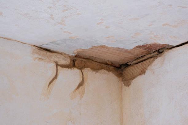 Best Flooded house restoration  in Rankin, TX