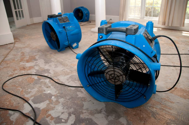 Best Carpet water damage restoration  in Rankin, TX