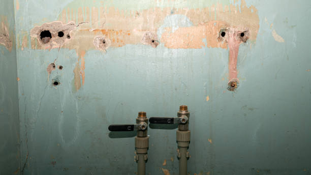 Best Mold removal after water damage  in Rankin, TX