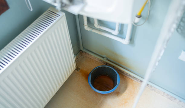 Best Basement water damage restoration  in Rankin, TX