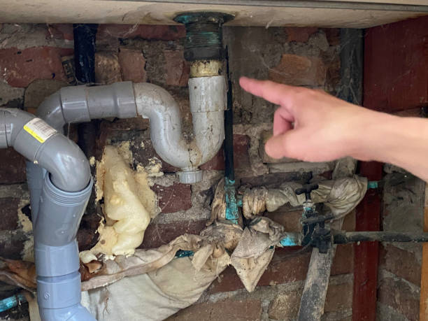 Best Water damage contractors near me  in Rankin, TX